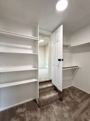 Carpeted room featuring built-in shelving, hanging rods, and a white paneled door