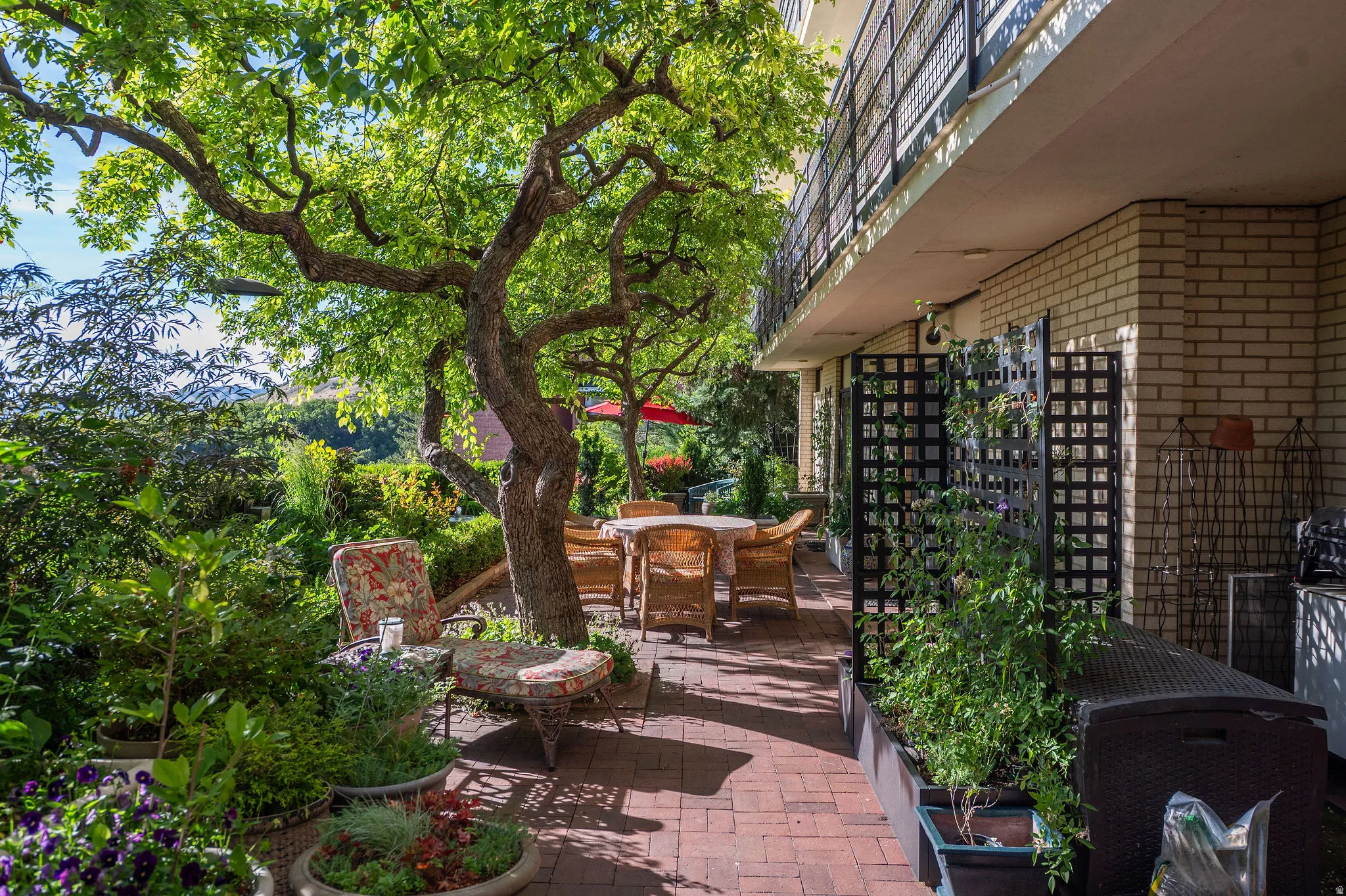 Brick-paved patio featuring mature trees and lush plantings