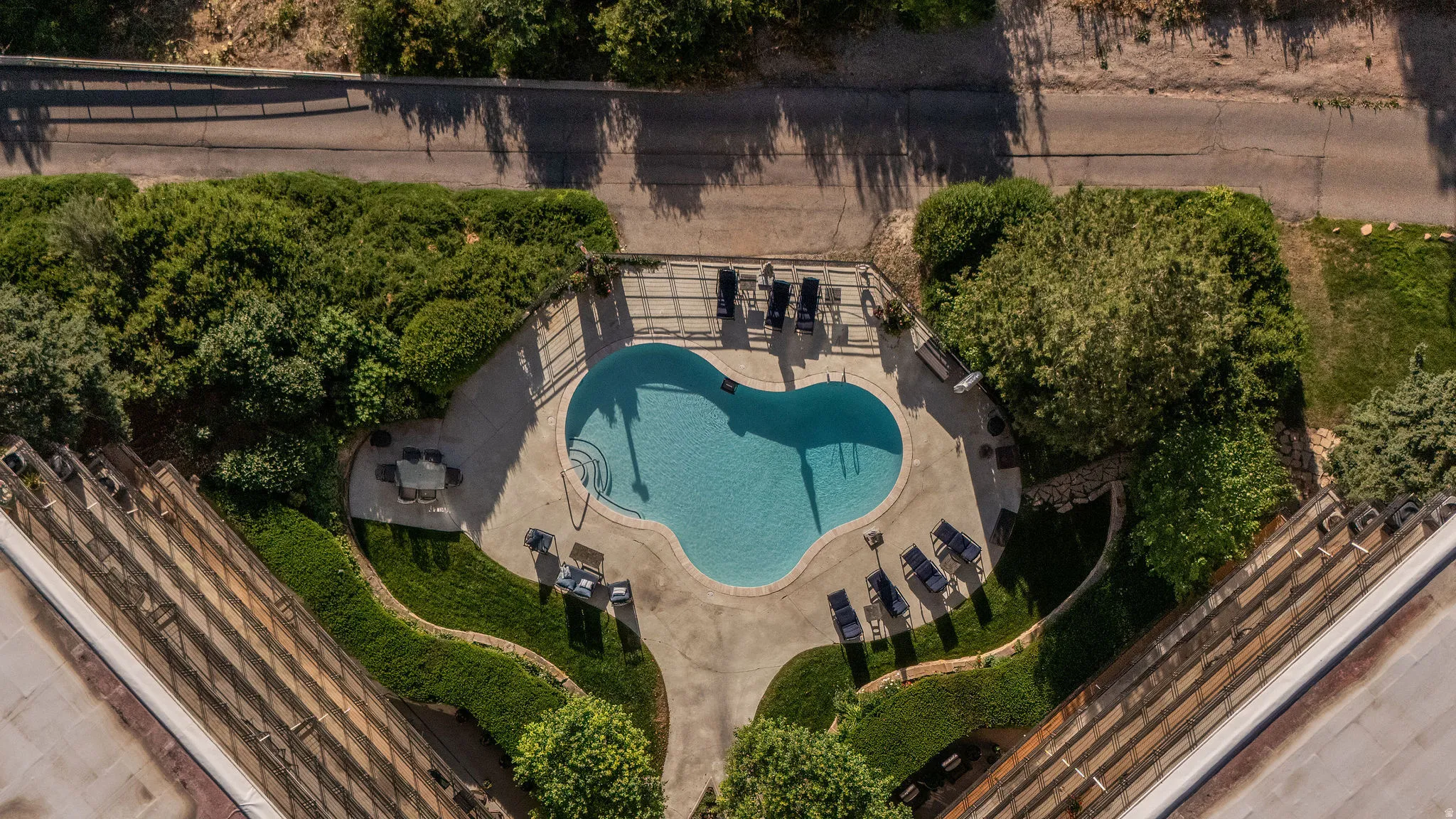 Freeform swimming pool with integrated steps, surrounded by a concrete patio and lush green landscaping