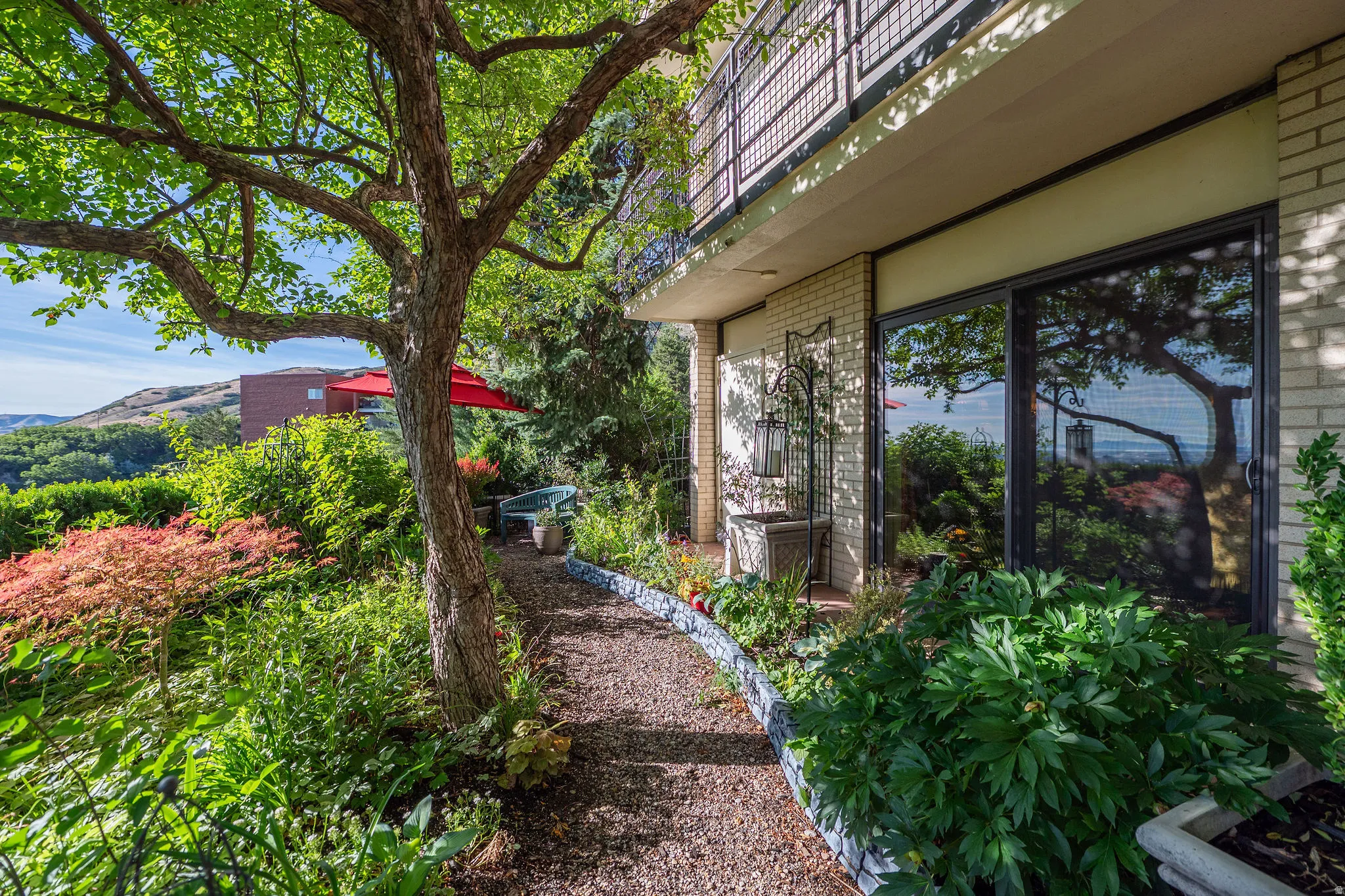 Landscaped garden path with mature trees and diverse plantings