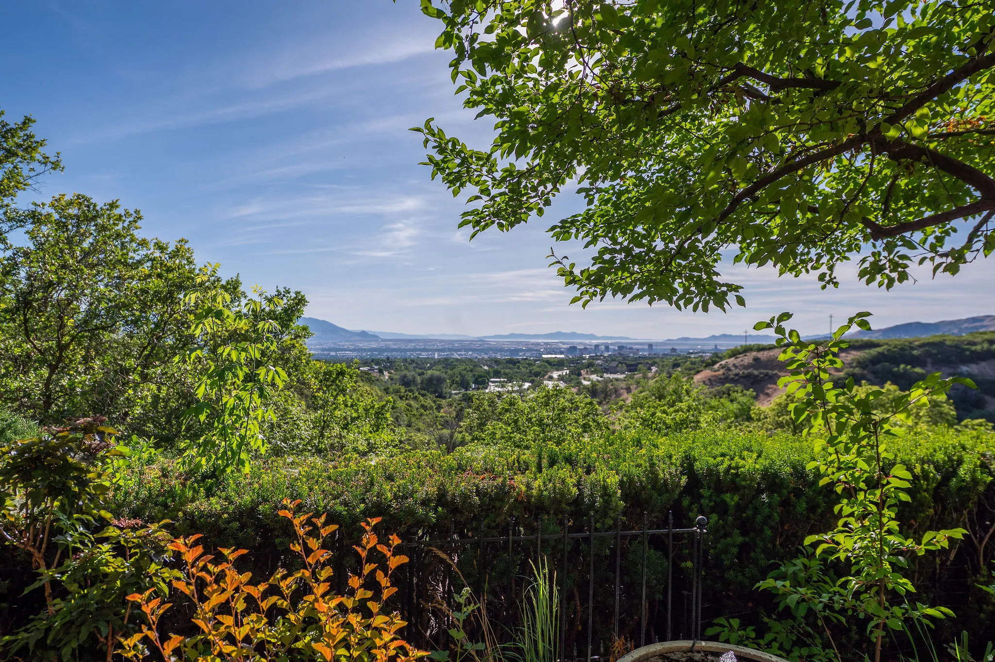 Expansive outdoor landscaping featuring mature trees and established shrubs