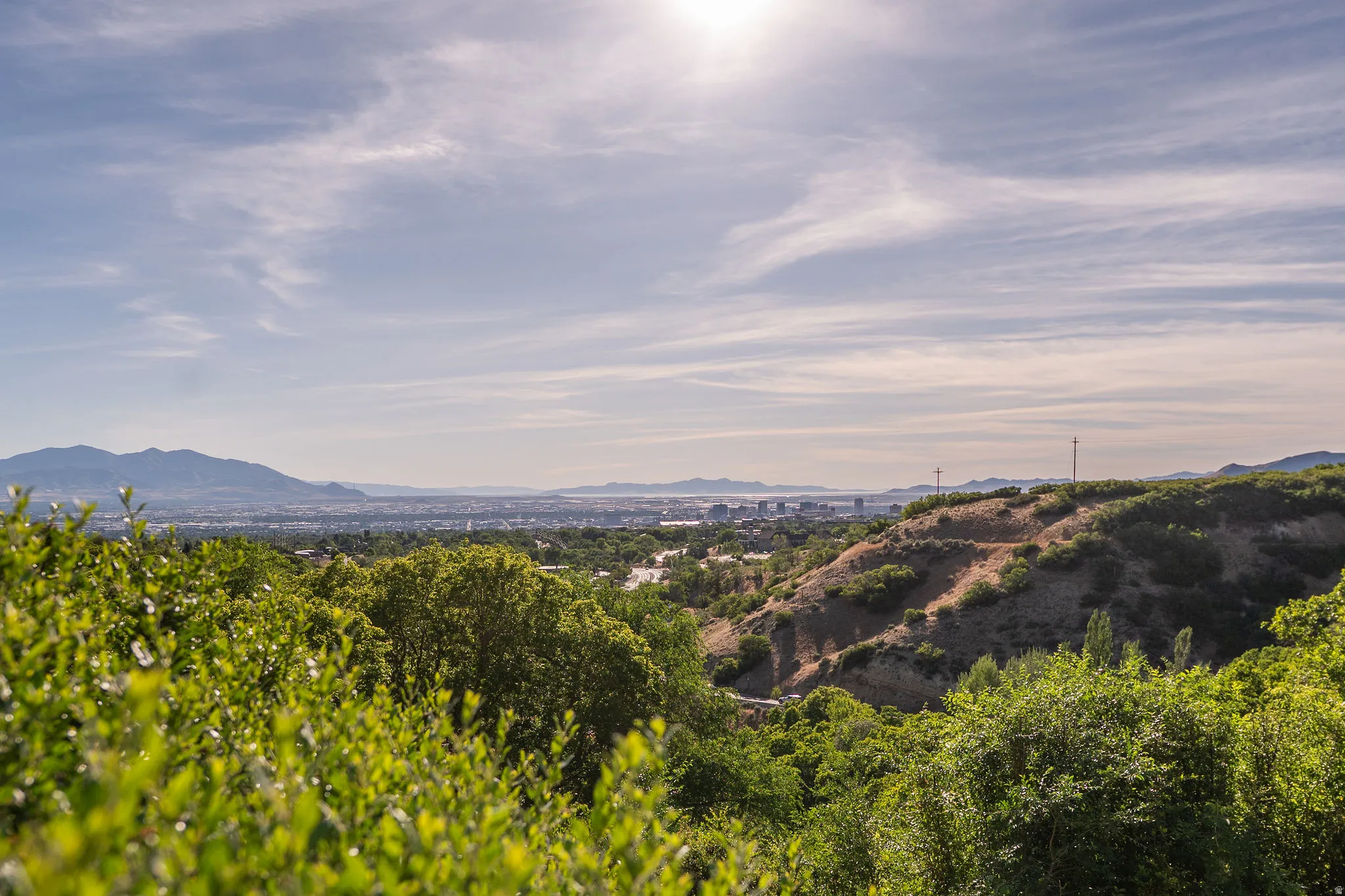 Expansive natural landscape featuring rolling hills and abundant green foliage