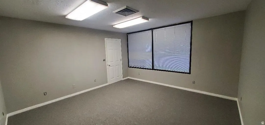 Carpeted interior space featuring a white paneled door, two large windows with horizontal blinds, and a neutral wall color