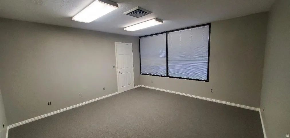 Carpeted interior space featuring a white paneled door, two large windows with horizontal blinds, and a neutral wall color
