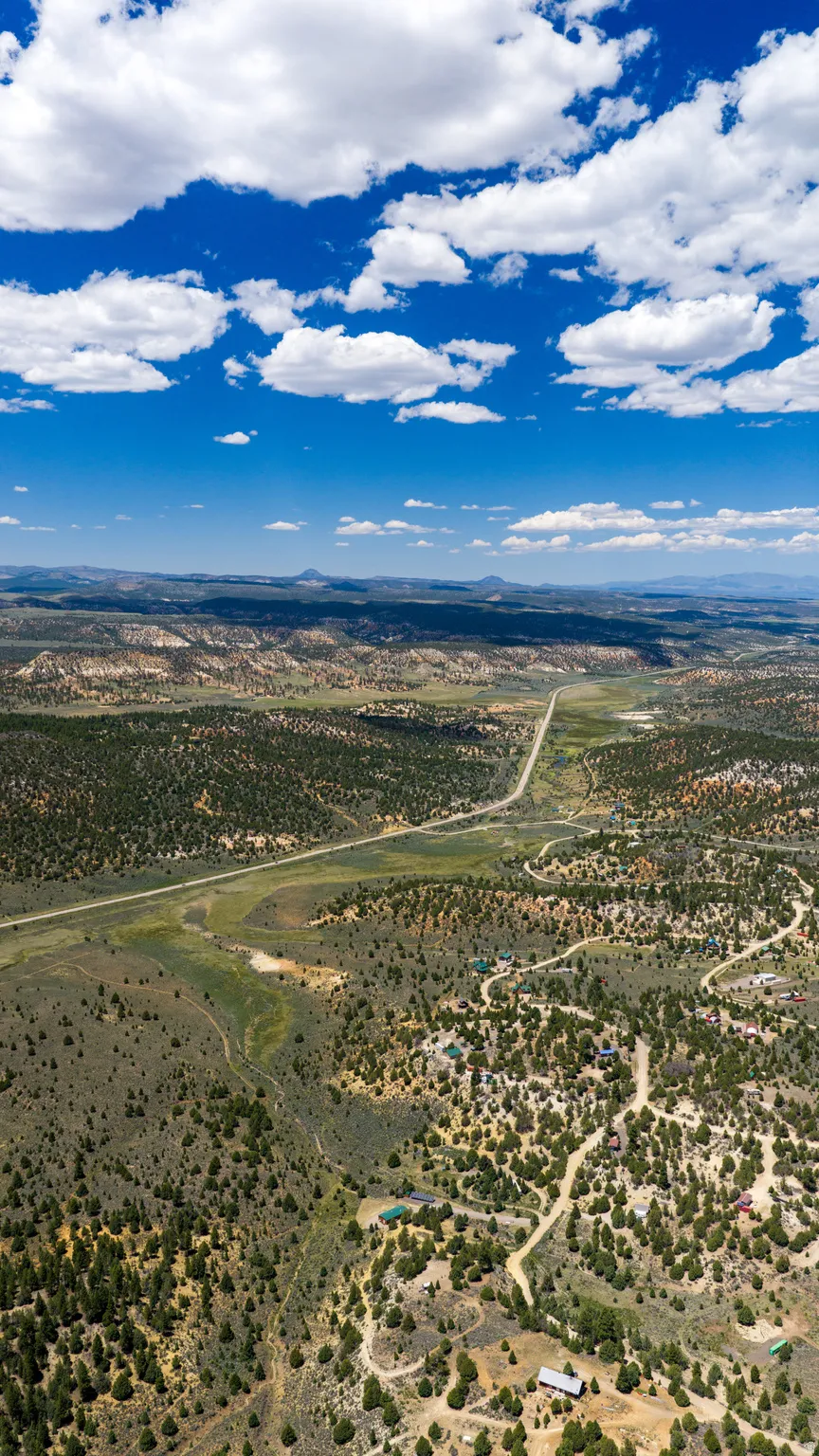 Expansive elevated terrain featuring scattered evergreen trees and multiple structures