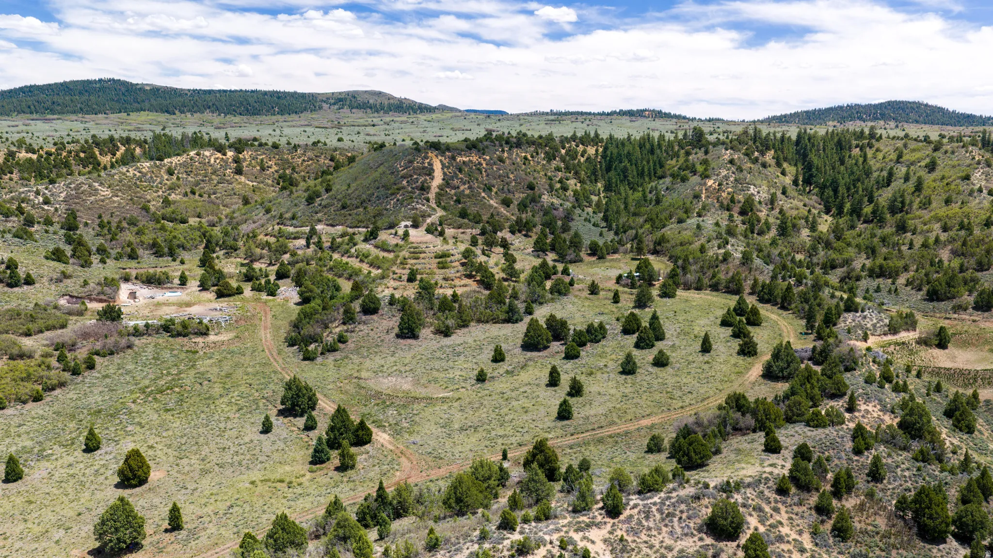 Expansive acreage featuring rolling hills, mature evergreens, and natural grasslands