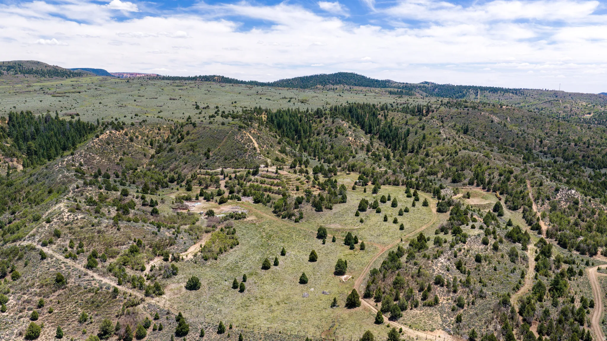 Expansive undeveloped terrain featuring varied topography, scattered evergreen trees, and broad natural clearings