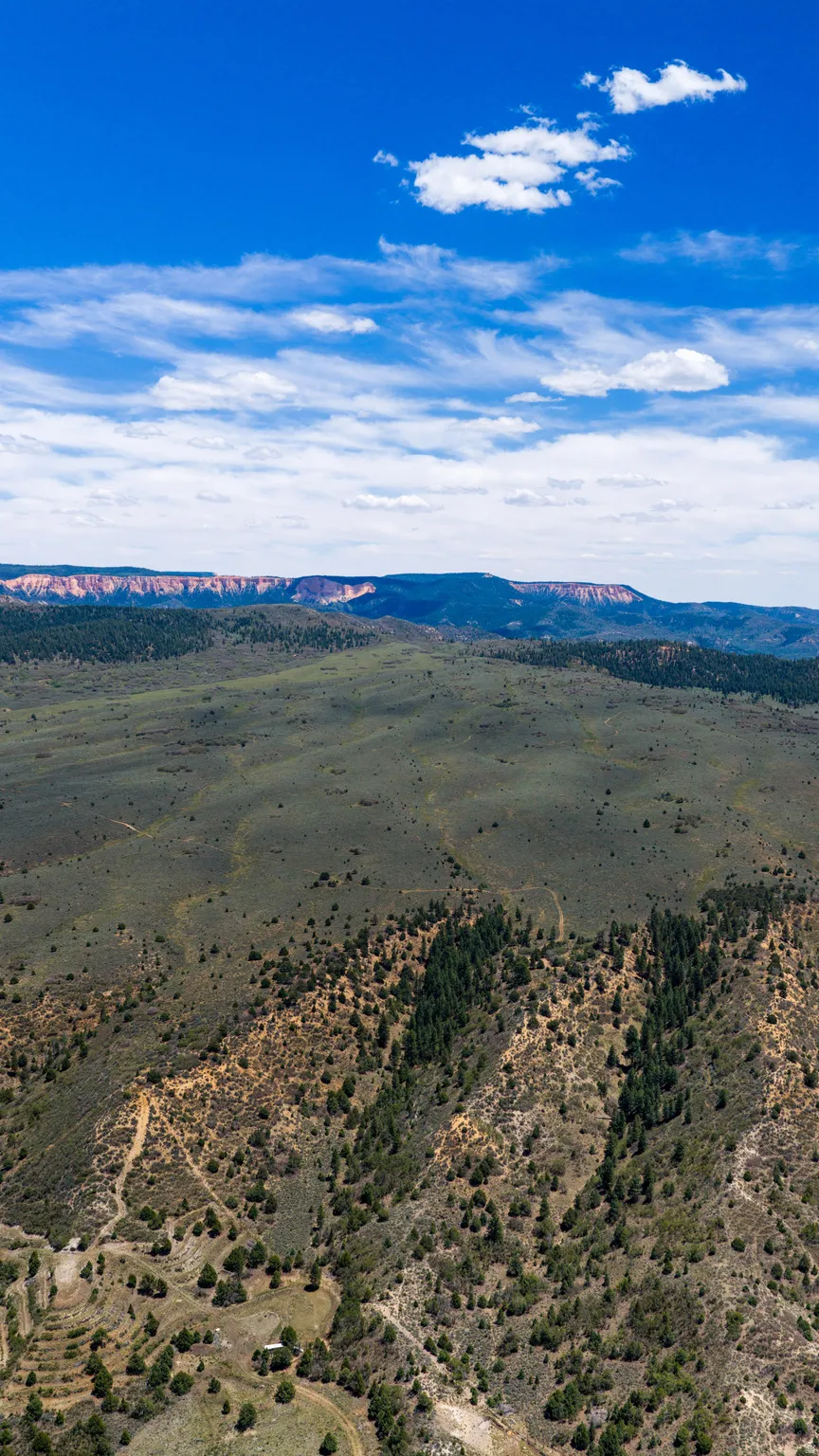 Expansive natural landscape featuring rolling hills, scattered evergreen trees, and distant mesa formations under a clear blue sky
