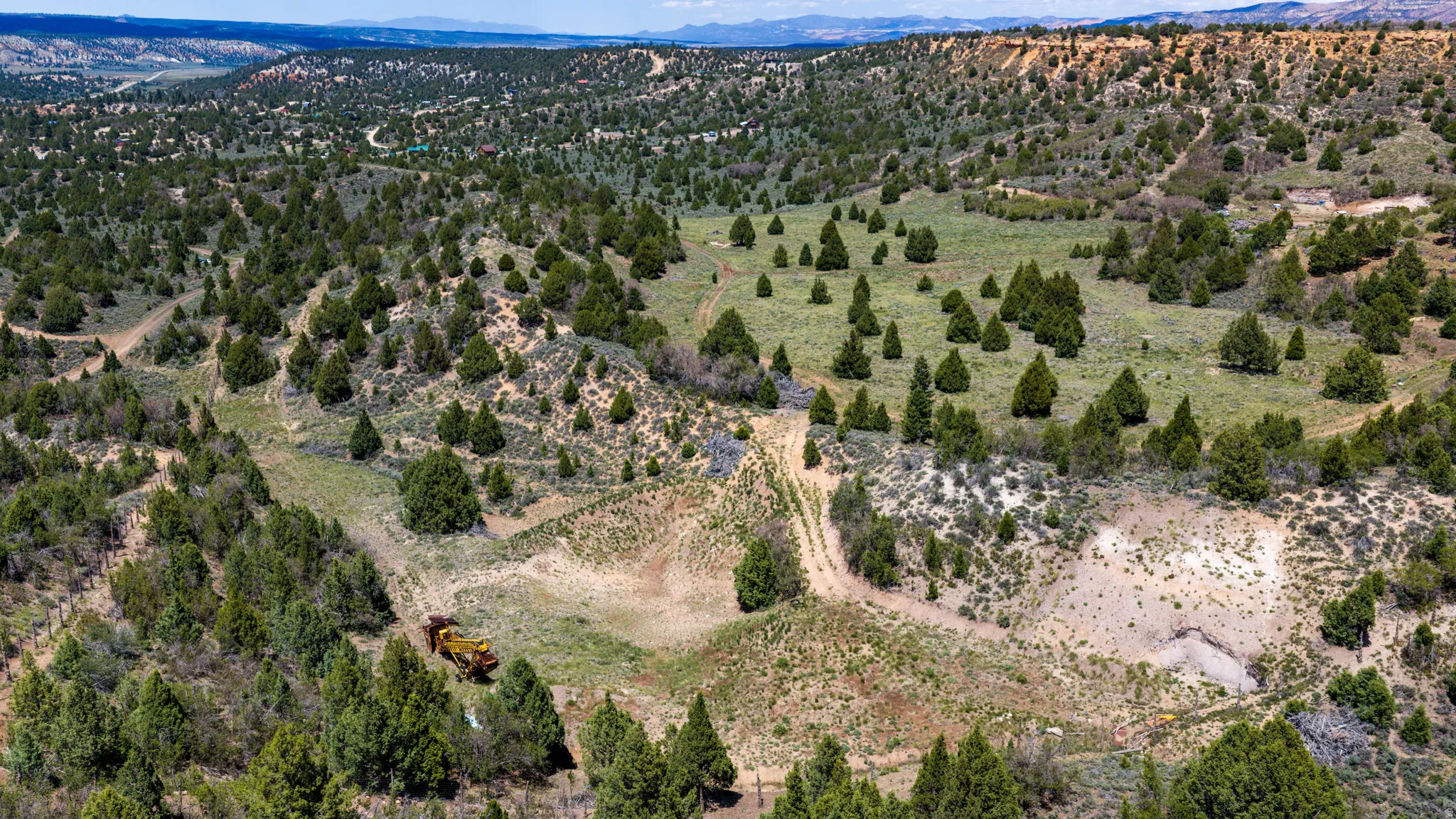 Expansive acreage featuring mature evergreen trees and varied topography