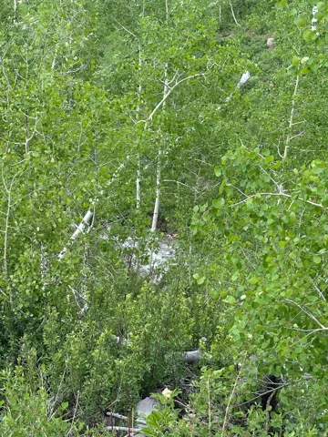 94 Hilltop Ln, Fairview, Utah 84629
