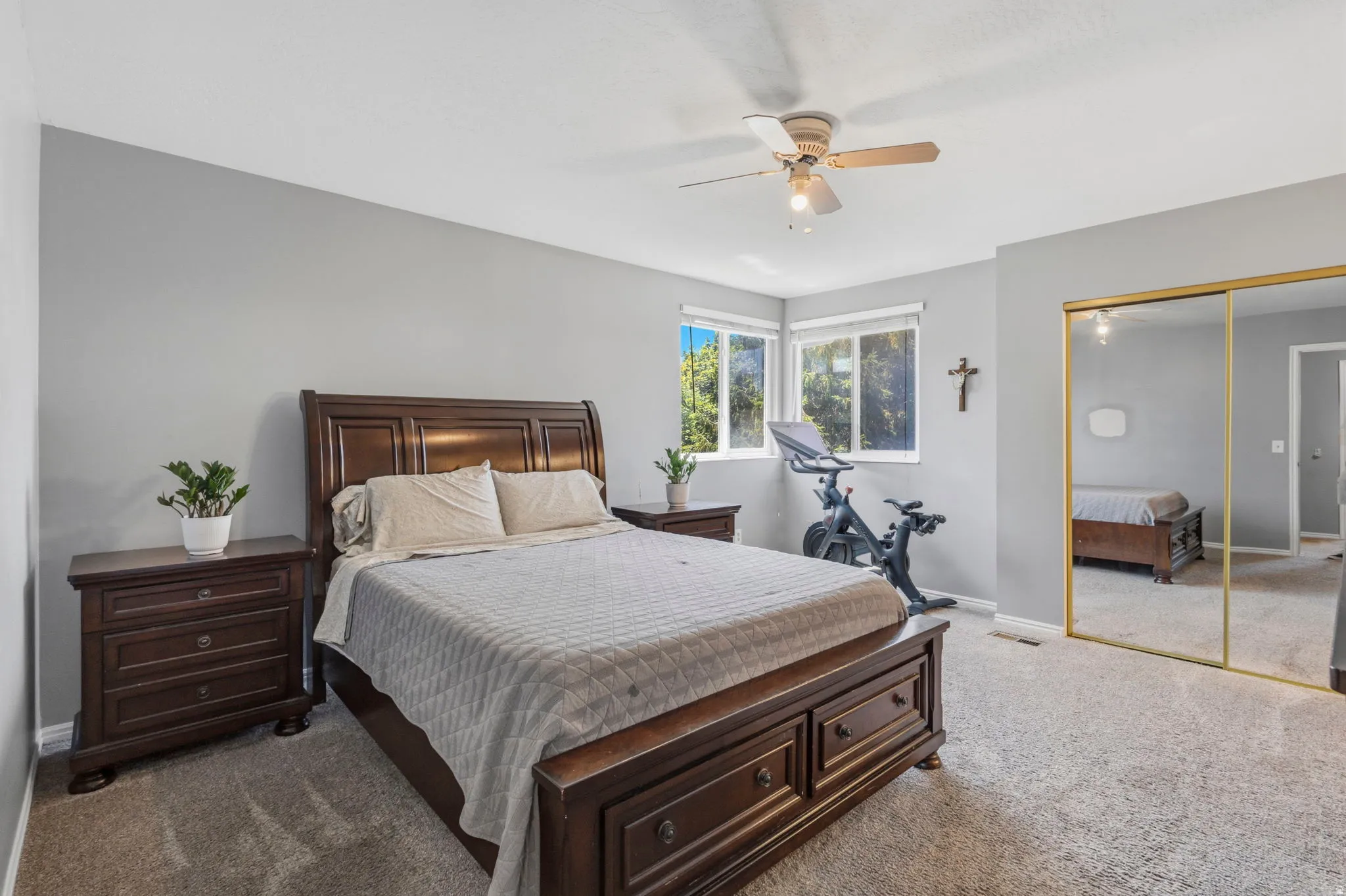 Spacious bedroom featuring light gray walls, plush carpet flooring, a ceiling fan with integrated lighting, and multiple windows providing natural illumination