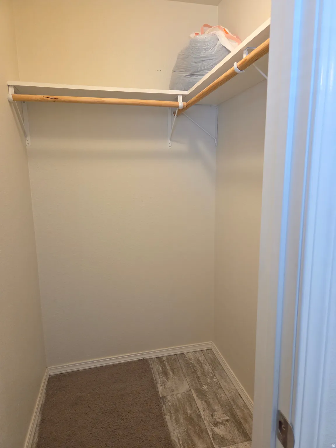 Walk-in closet featuring white shelving, a wood hanging rod, carpeted