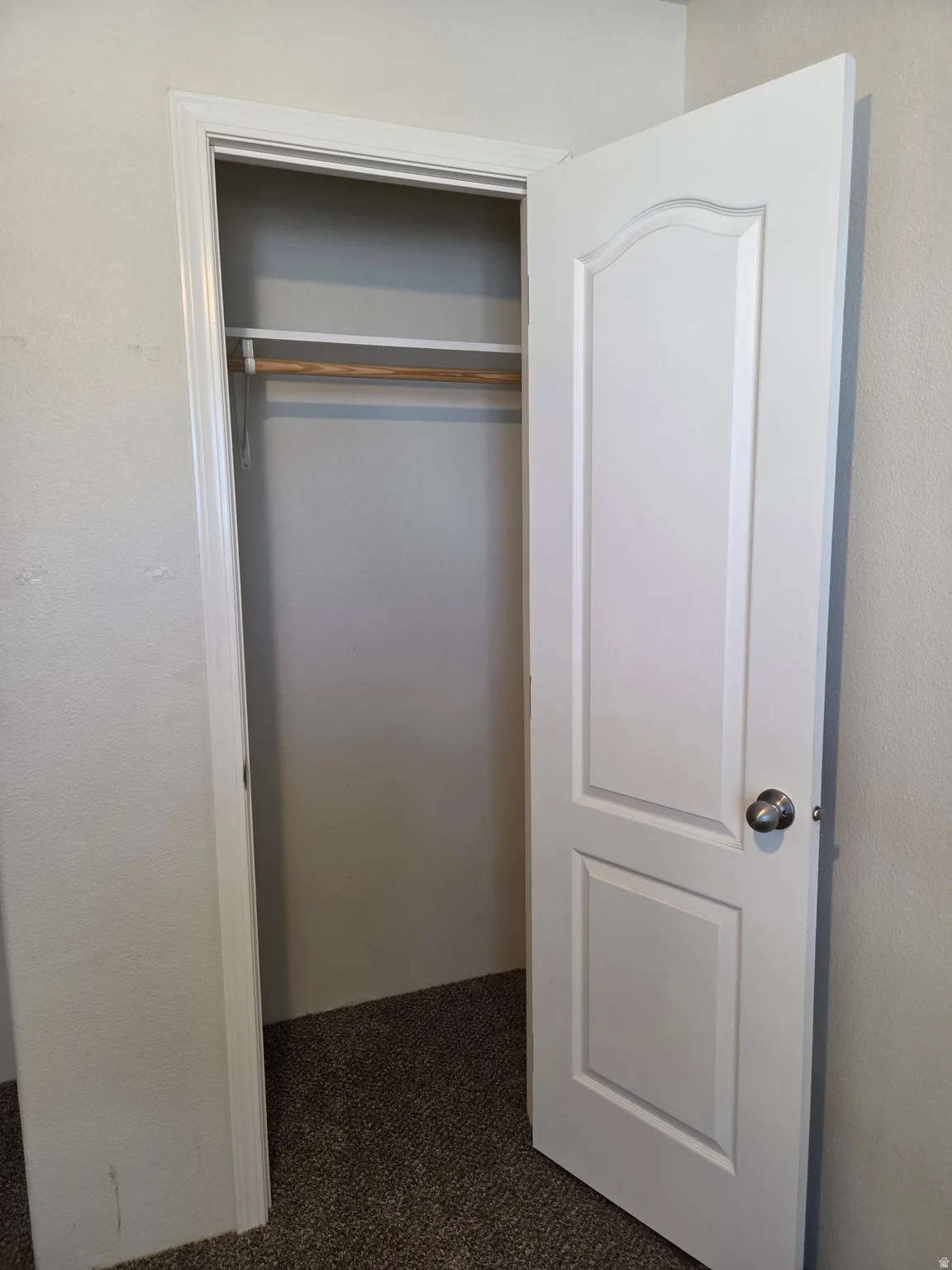 Recessed closet with a single hanging rod, upper shelf, and carpet flooring