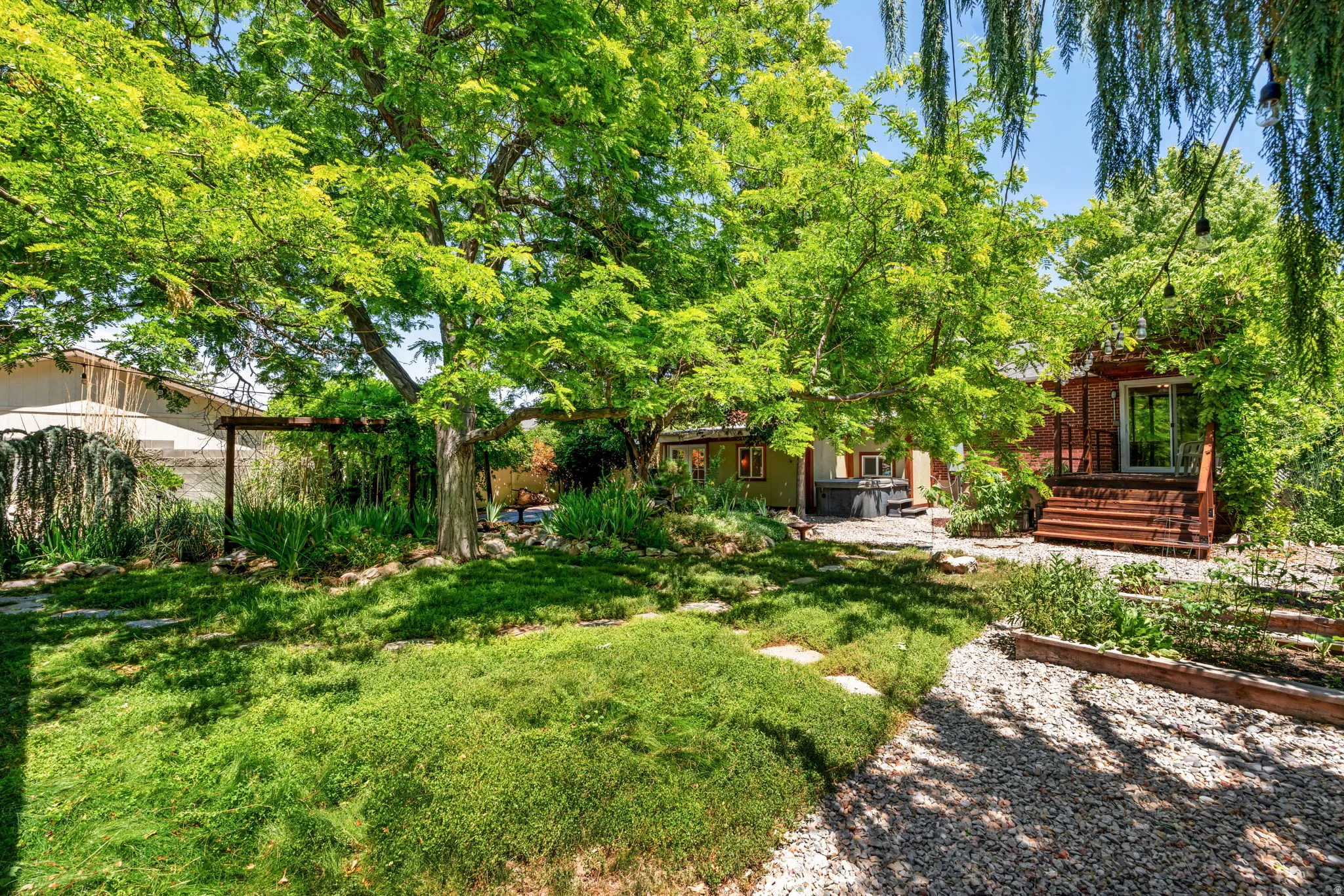 Expansive backyard featuring a lush alternative lawn, mature trees, and a gravel path