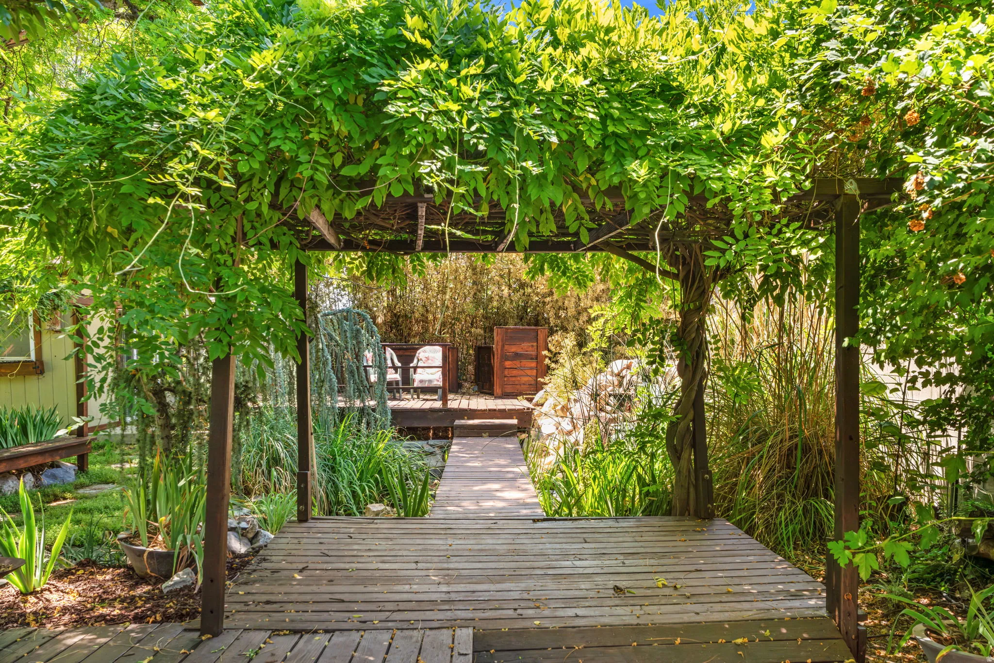 View outside garden bedroom with wood-decked pergola with lush overhead foliage, featuring a raised decking area, integrated stone wall, and varied greenery