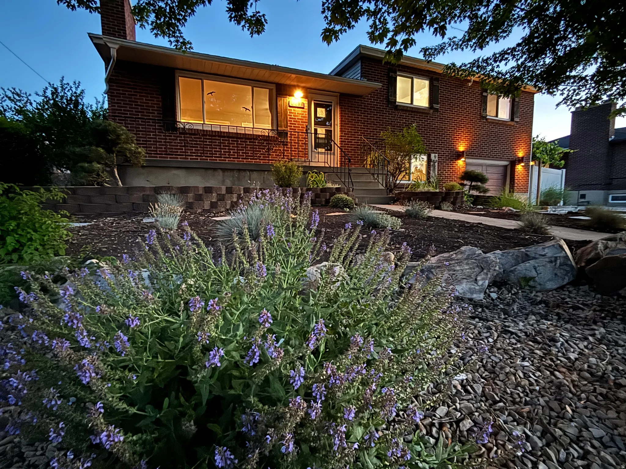 Xeriscape yard, easy to maintain