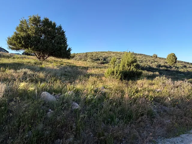 Expansive sloping terrain featuring natural grasses and scattered shrubbery
