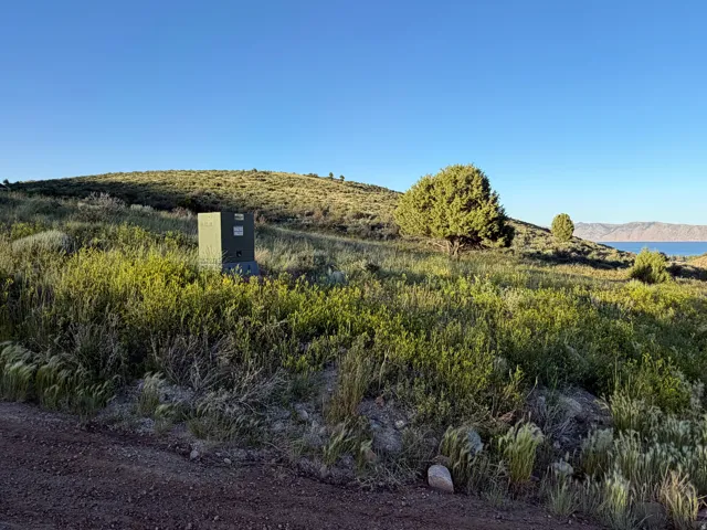 Expansive land parcel featuring natural shrubbery and mature trees, with a visible utility box