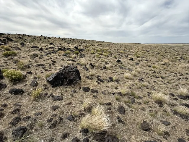 Expansive landscape featuring scattered dark rock formations and sparse, dry vegetation under a broad sky