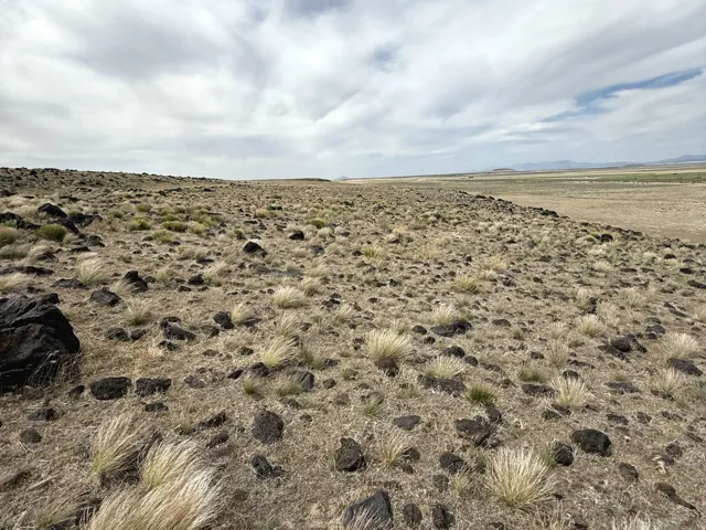 Expansive desert landscape featuring scattered rock formations and sparse vegetation