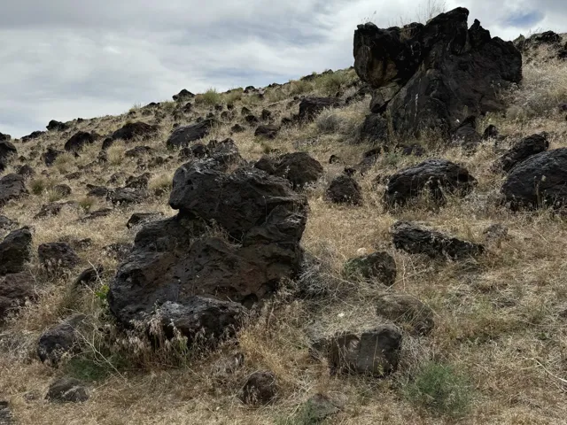 Sloping terrain featuring exposed dark rock formations and dry, natural vegetation