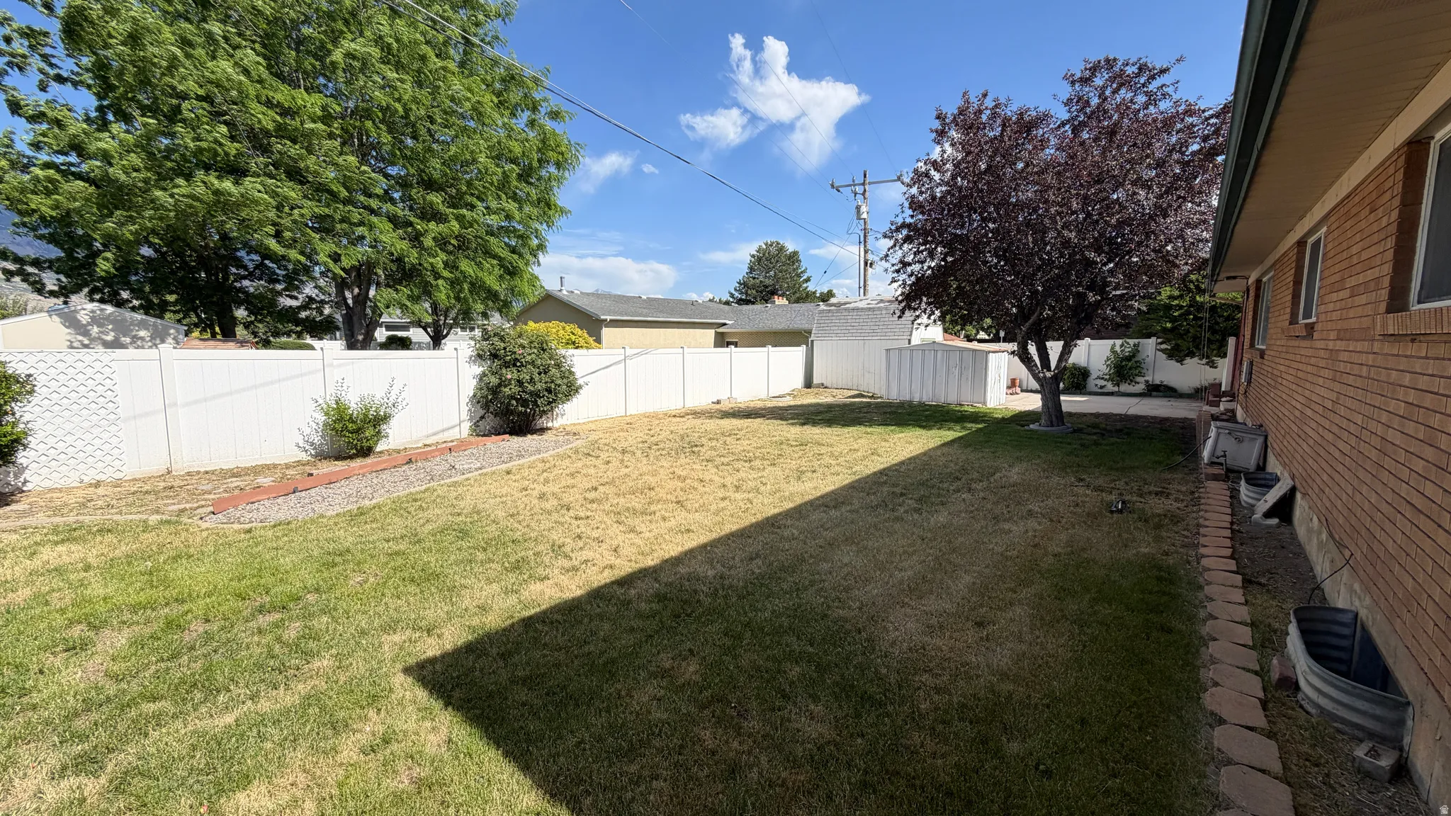 Expansive backyard mature trees,