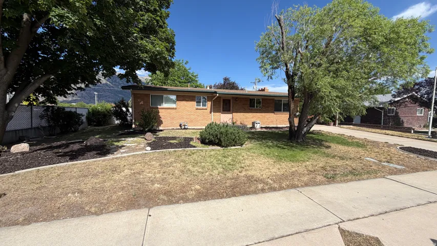 All Brick residence with a light gray roof, mature trees, a paved driveway, and a Vinyl fence