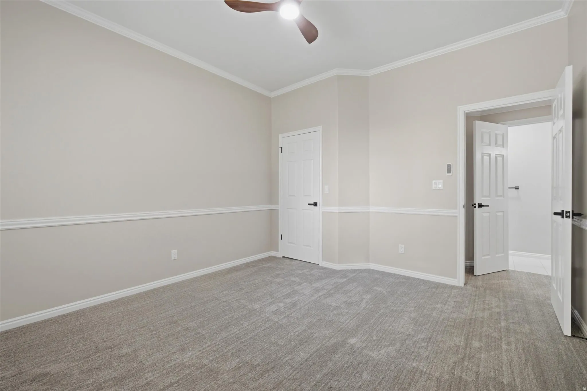 Spacious room featuring neutral carpeting, crown molding, chair rail detailing, white trim, and a ceiling fan