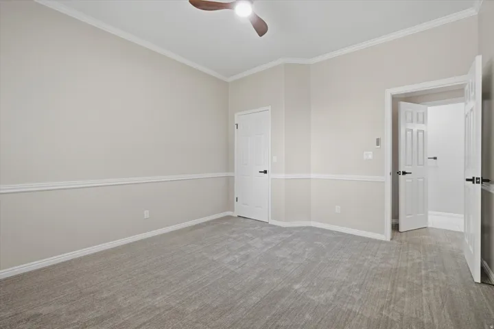 Spacious room featuring neutral carpeting, crown molding, chair rail detailing, white trim, and a ceiling fan