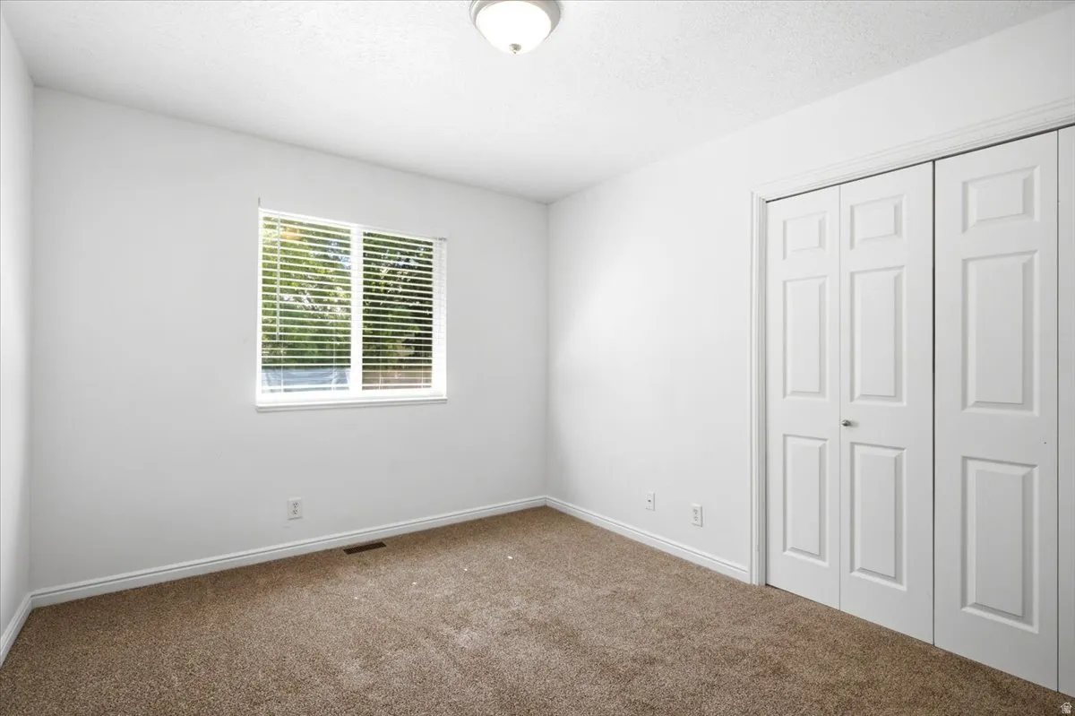 Carpeted room featuring a white window with horizontal blinds, white baseboards, and a bi-fold closet door
