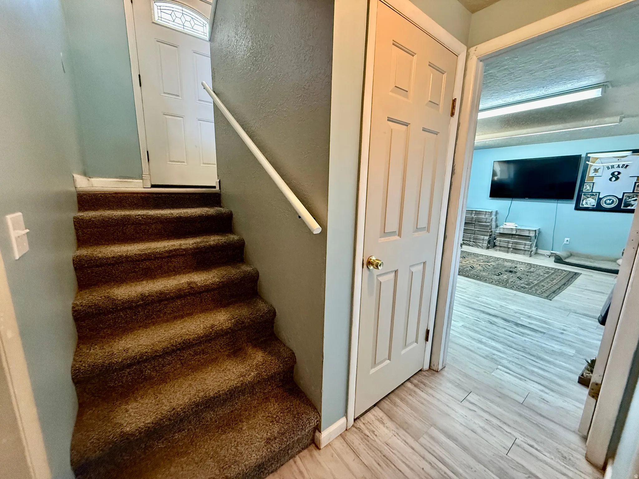 Carpeted staircase with white handrail and white entry door featuring decorative glass