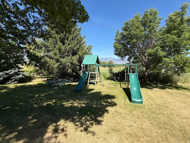 Expansive grassy yard featuring a green play structure with slides and swings, surrounded by mature trees providing ample shade