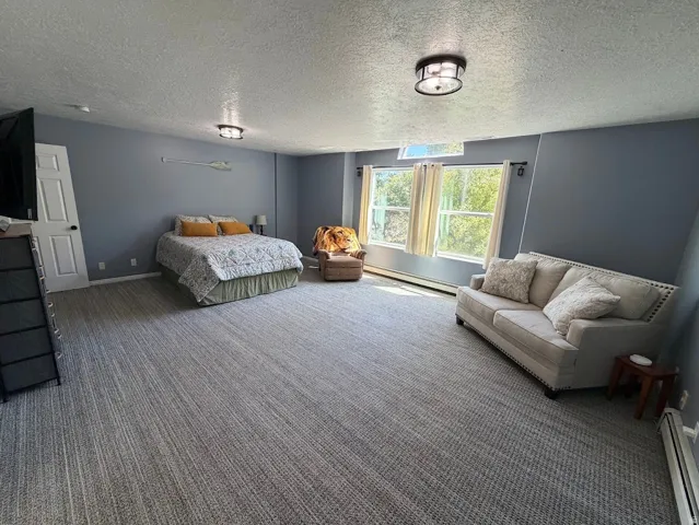 Spacious room with durable carpet flooring and blue accent walls