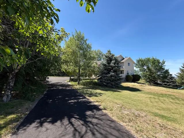 Paved driveway bordered by mature trees and manicured lawn
