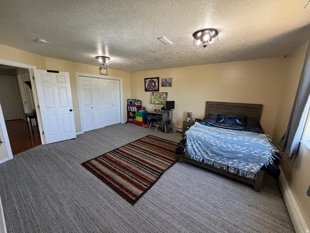 Spacious room featuring neutral carpeting, a dual-door closet, a six-panel interior door, and two ceiling-mounted light fixtures