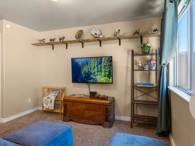 Carpeted living area featuring a wall-mounted television, a large window, and built-in shelving
