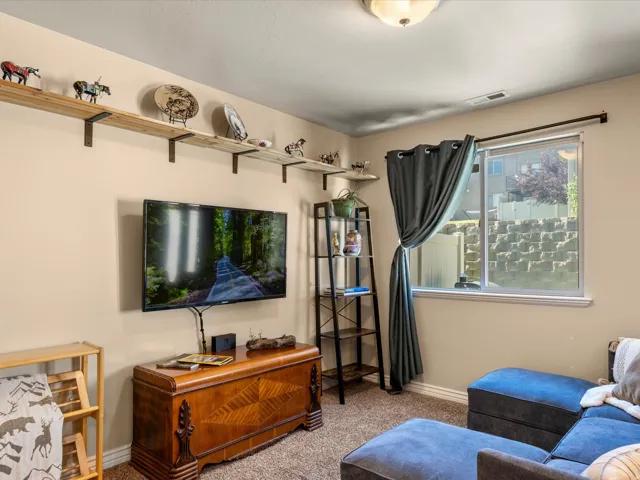 Carpeted living area featuring a wall-mounted television, a large window, and built-in shelving