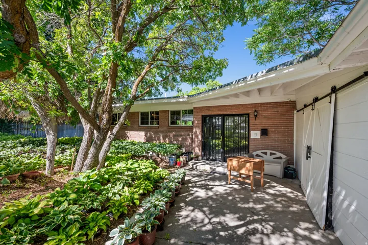 Patio terrace