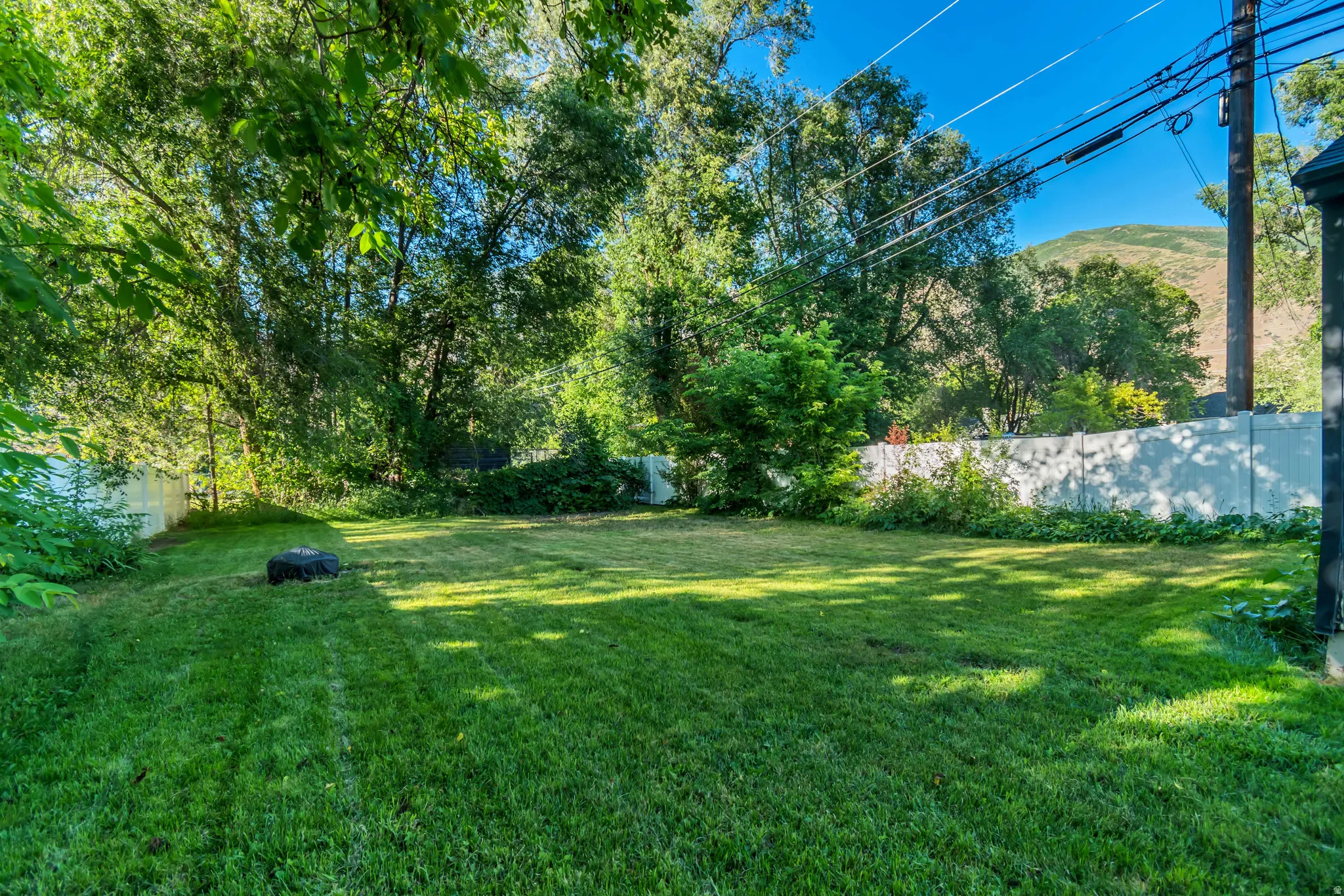 Huge back yard