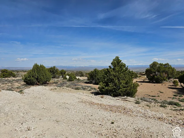 Expansive desert landscape featuring natural rock and sparse vegetation