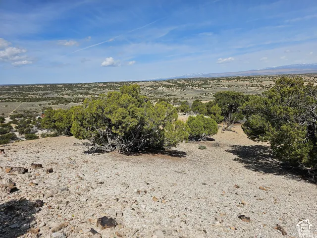 Expansive desert landscape featuring natural rock formations and scattered juniper trees under a broad blue sky with scattered clouds