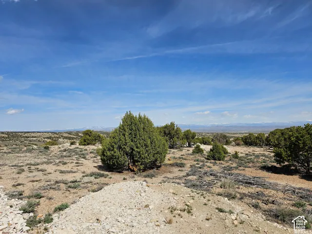 Expansive desert landscape featuring natural scrub brush and scattered juniper trees
