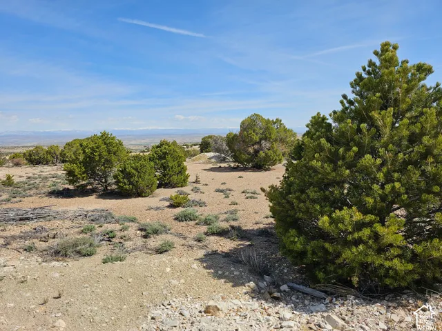 Expansive terrain featuring sparse vegetation, a mix of gravel and dirt ground cover, and scattered evergreen trees