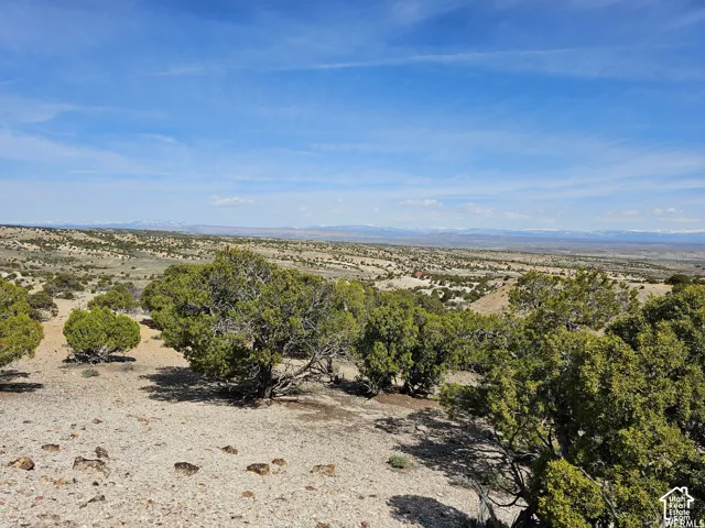 Expansive desert landscape featuring scattered evergreen trees and distant mountain ranges