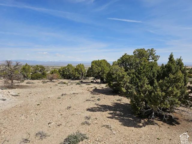 Expansive raw land featuring natural desert vegetation, scattered evergreen trees, and a clear blue sky