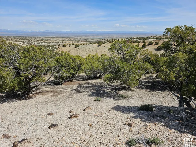 Expansive natural terrain featuring low-lying vegetation and distant mountain ranges under a clear sky