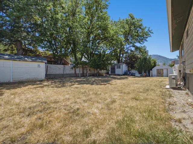 Expansive outdoor space featuring a large lawn area, mature trees, and a block wall perimeter