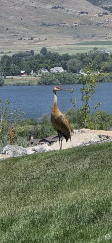 6226 E Hawks Ln, Huntsville, Utah 84317