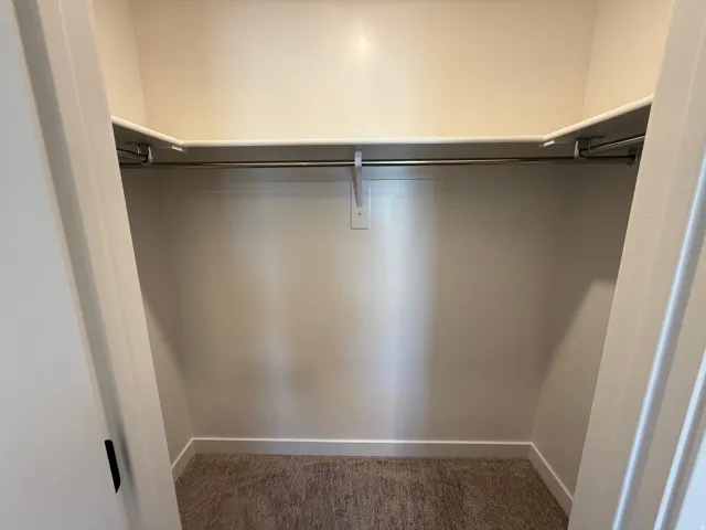 Spacious closet featuring an L-shaped shelf system, integrated hanging rods, neutral wall paint, and plush carpeting