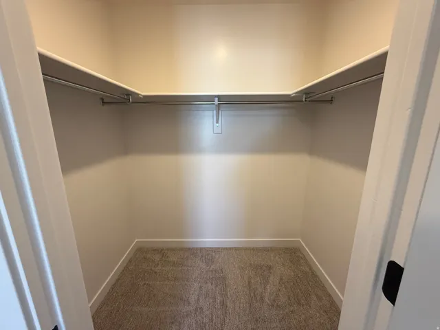 Walk-in closet featuring full-width shelving, chrome hanging rods, and neutral-toned carpeting